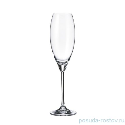 Бокалы для шампанского 290 мл 2 шт &quot;Цецилия /Без декора&quot; / 213010