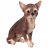 Фигурка 15 х 19 см &quot;Щенок Той терьер&quot; / 270311