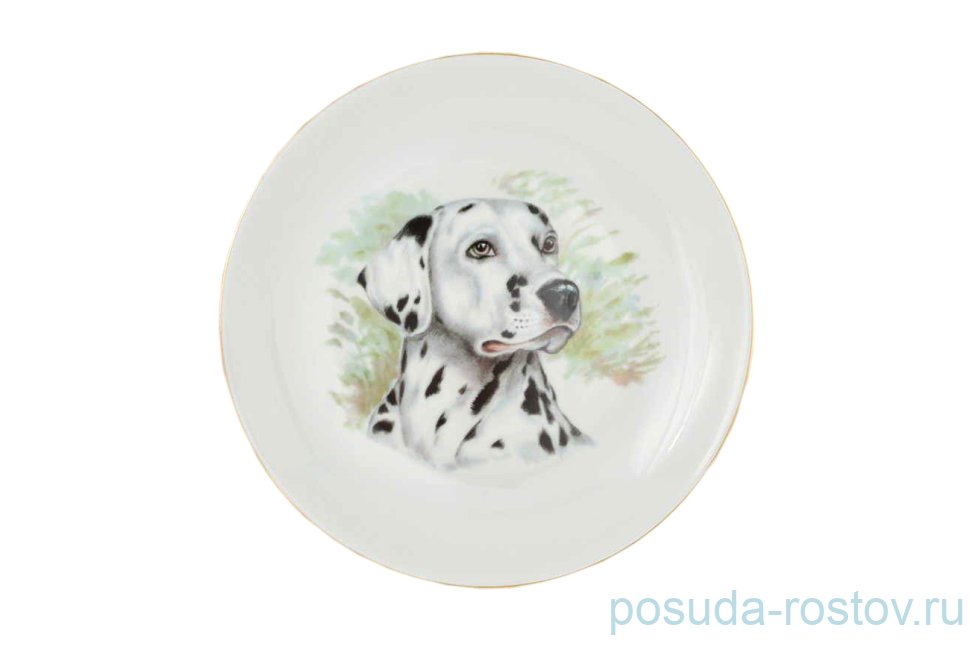 Тарелка декоративная 24 см настенная "Питомцы /Собаки /Далматинец" / 158873 Тарелка декоративная 24 см настенная "Питомцы /Собаки /Далматинец" / 158873