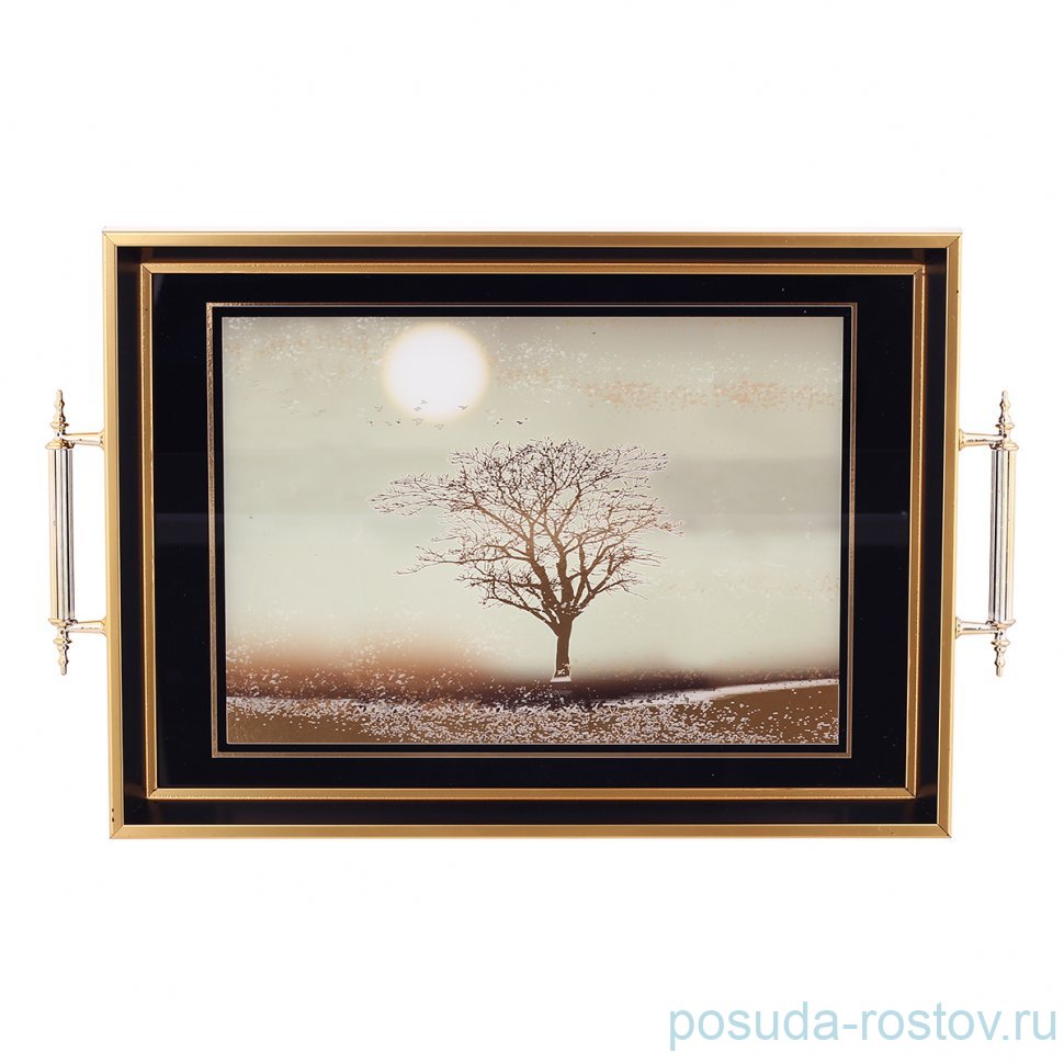 Поднос 31 х 43 см прямоугольный с ручками "Dementia Koleksiyon" / 341556 Поднос 31 х 43 см прямоугольный с ручками "Dementia Koleksiyon" / 341556