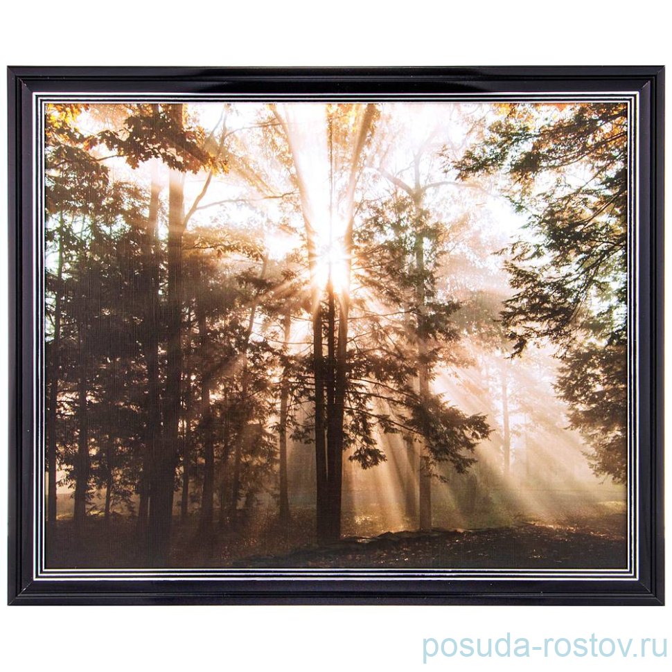 Фотопостер 40 х 50 см /рамка черный лак с серебром / 275089 Фотопостер 40 х 50 см /рамка черный лак с серебром / 275089